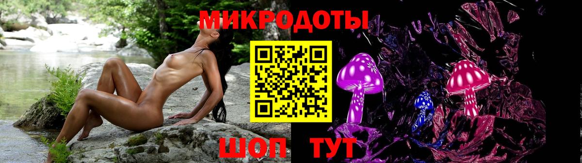 Псилоцибиновые грибы Psilocybine cubensis Томск